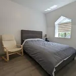 Orchid Lodgement