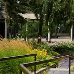 Hotel Bonaventure Montreal