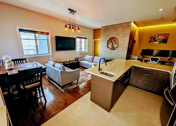 The Modern Stays