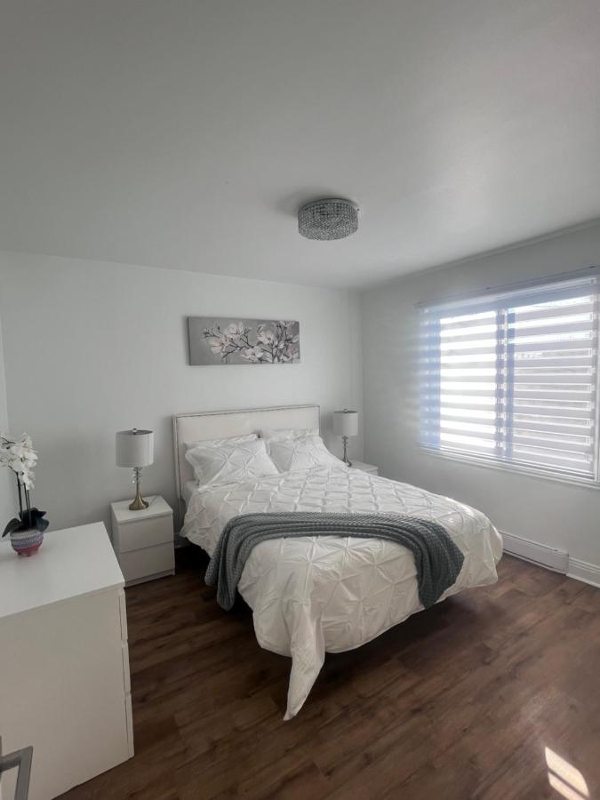 Fully Renovated With Free Parking *