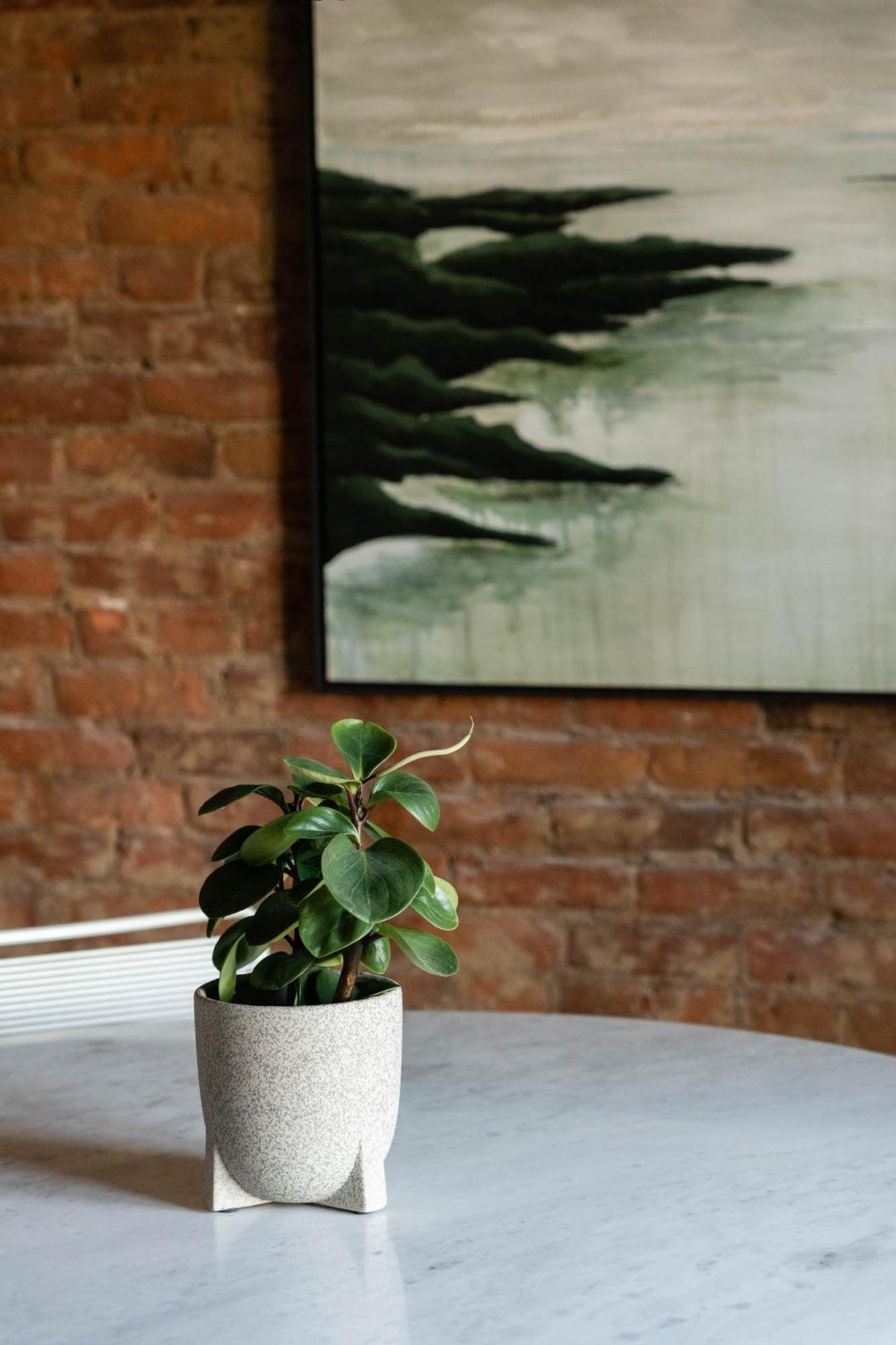 Maison Place Royale By Luxury In Transit Montreal