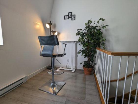 Orchid Lodgement Montreal