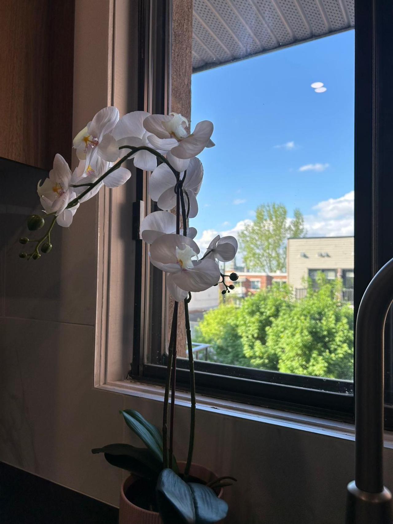 Apartment Orchid Lodgement Montreal