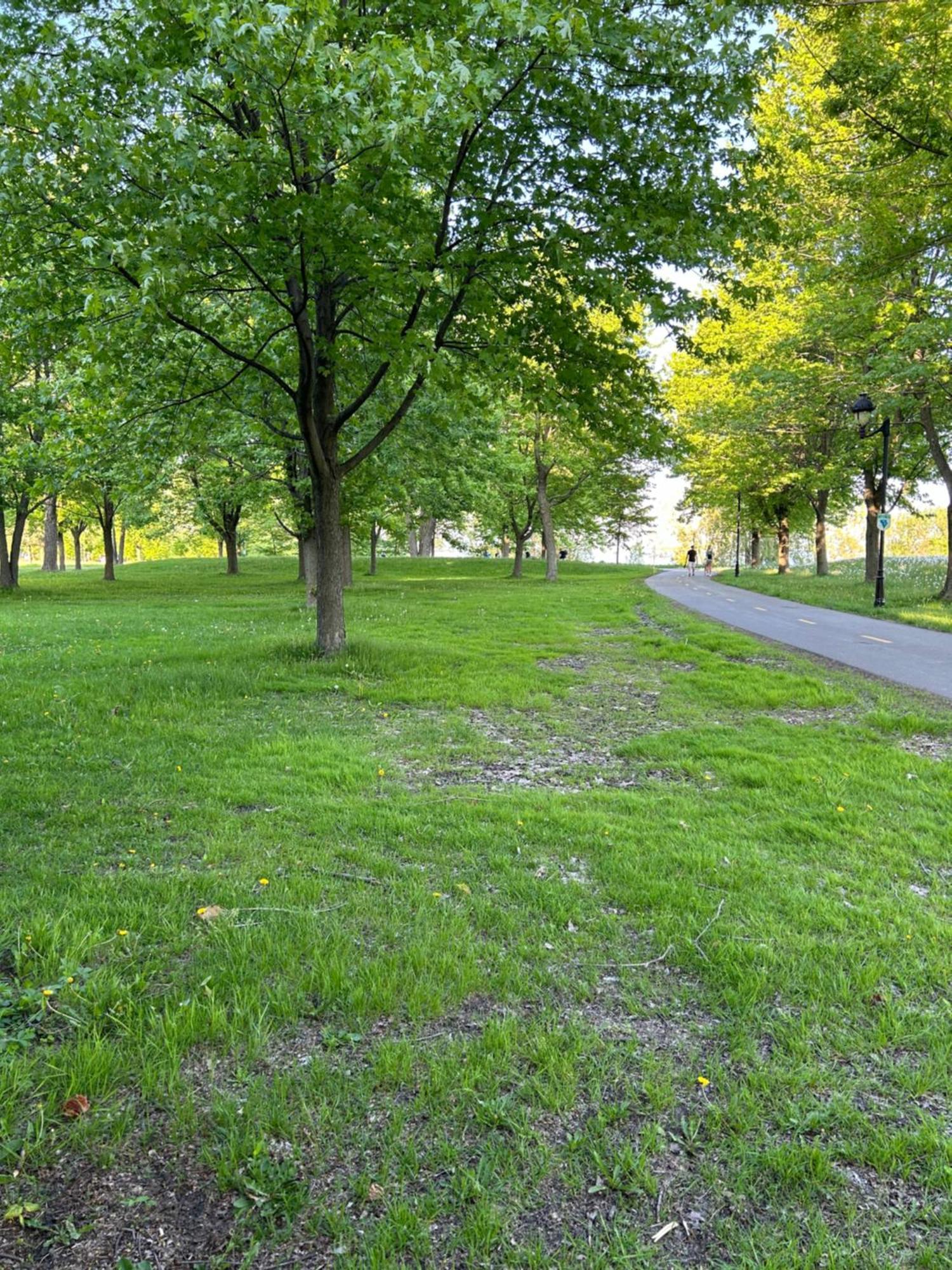 Apartment Walk On The Riverside