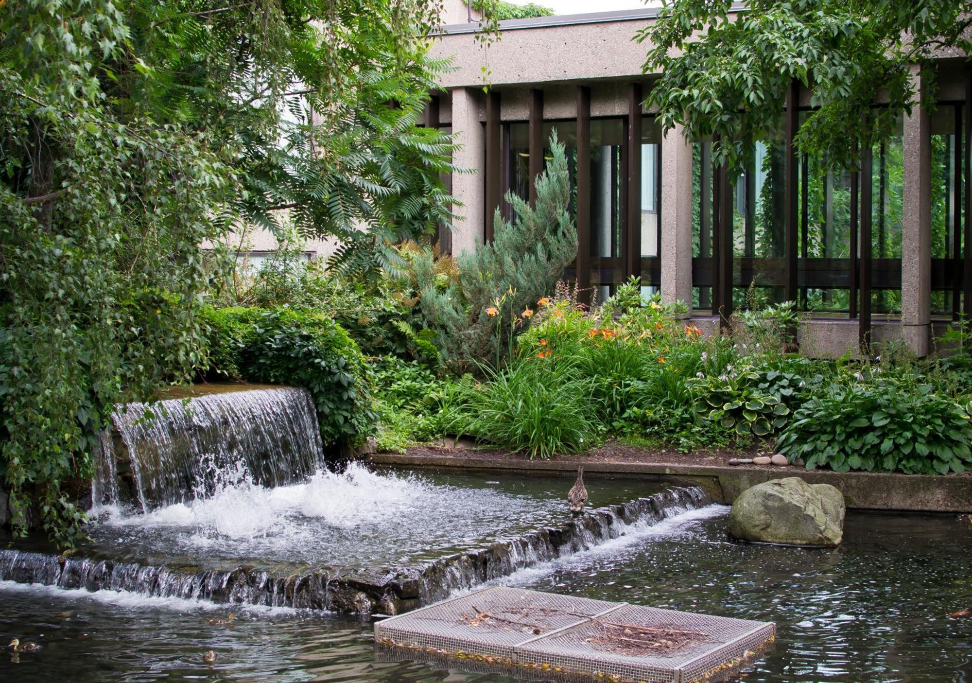 Bonaventure Montreal