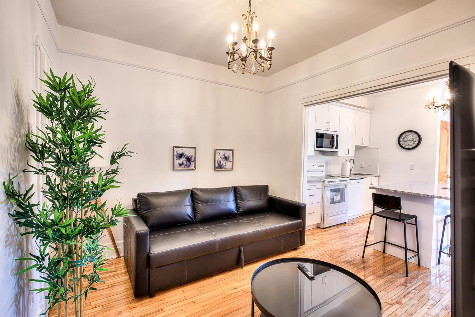 Apartment Vacation & Attractions By Downtown & Plateau