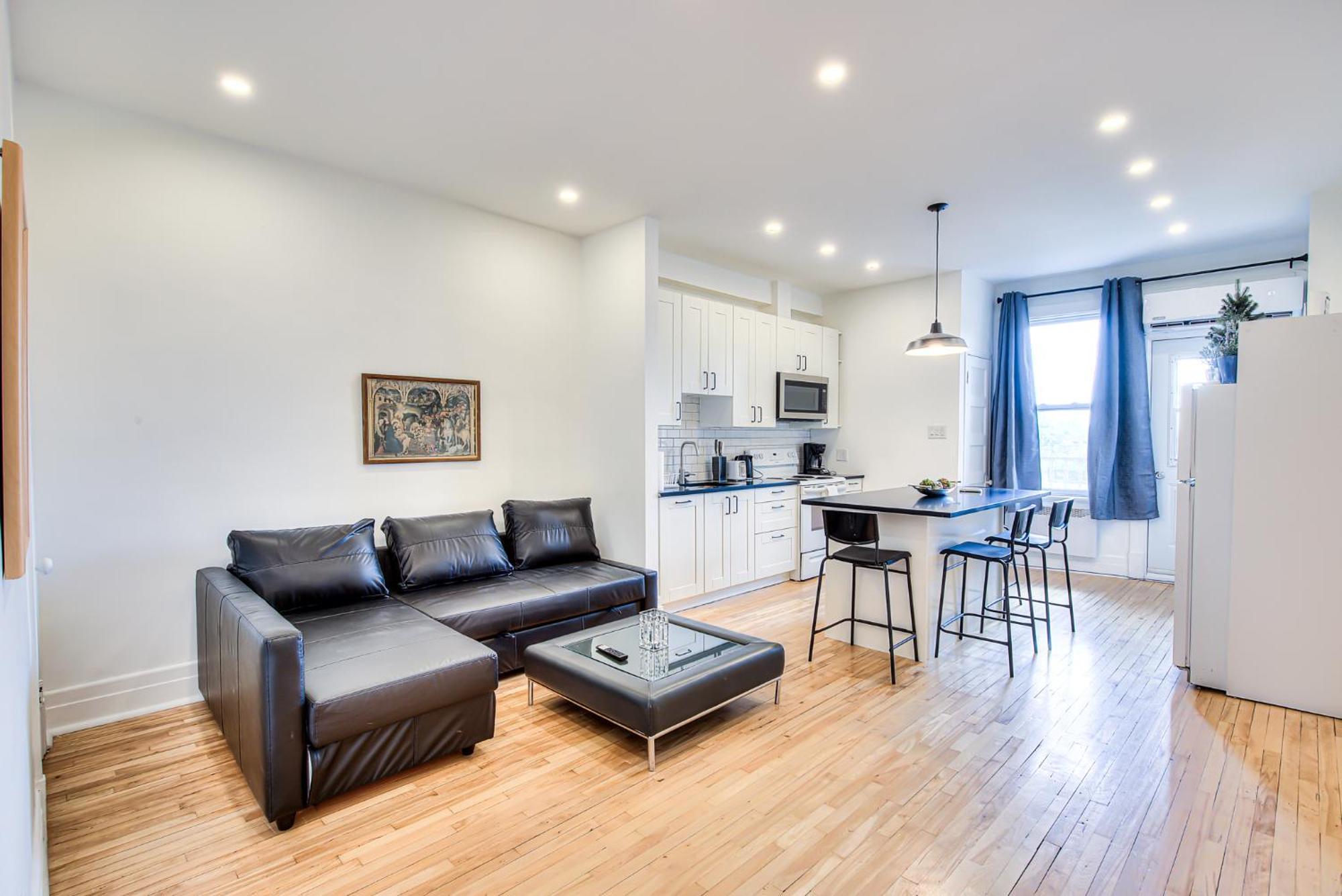 Apartment Vacation & Attractions By Downtown & Plateau *