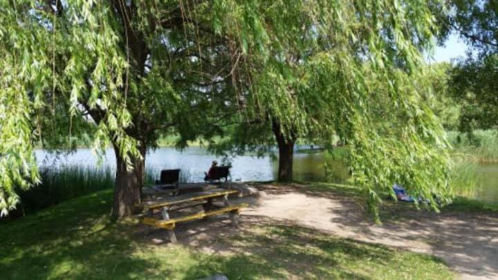 Apartment Huge 3 Bedroom With A Large Patio Montreal