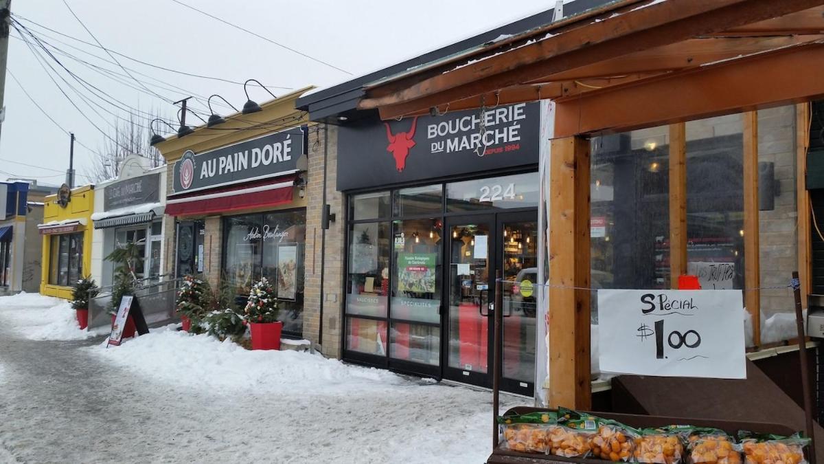 Spacious 2-level 4 Bedroom Near Jean-talon Market, Pets Welcome! Apartment
