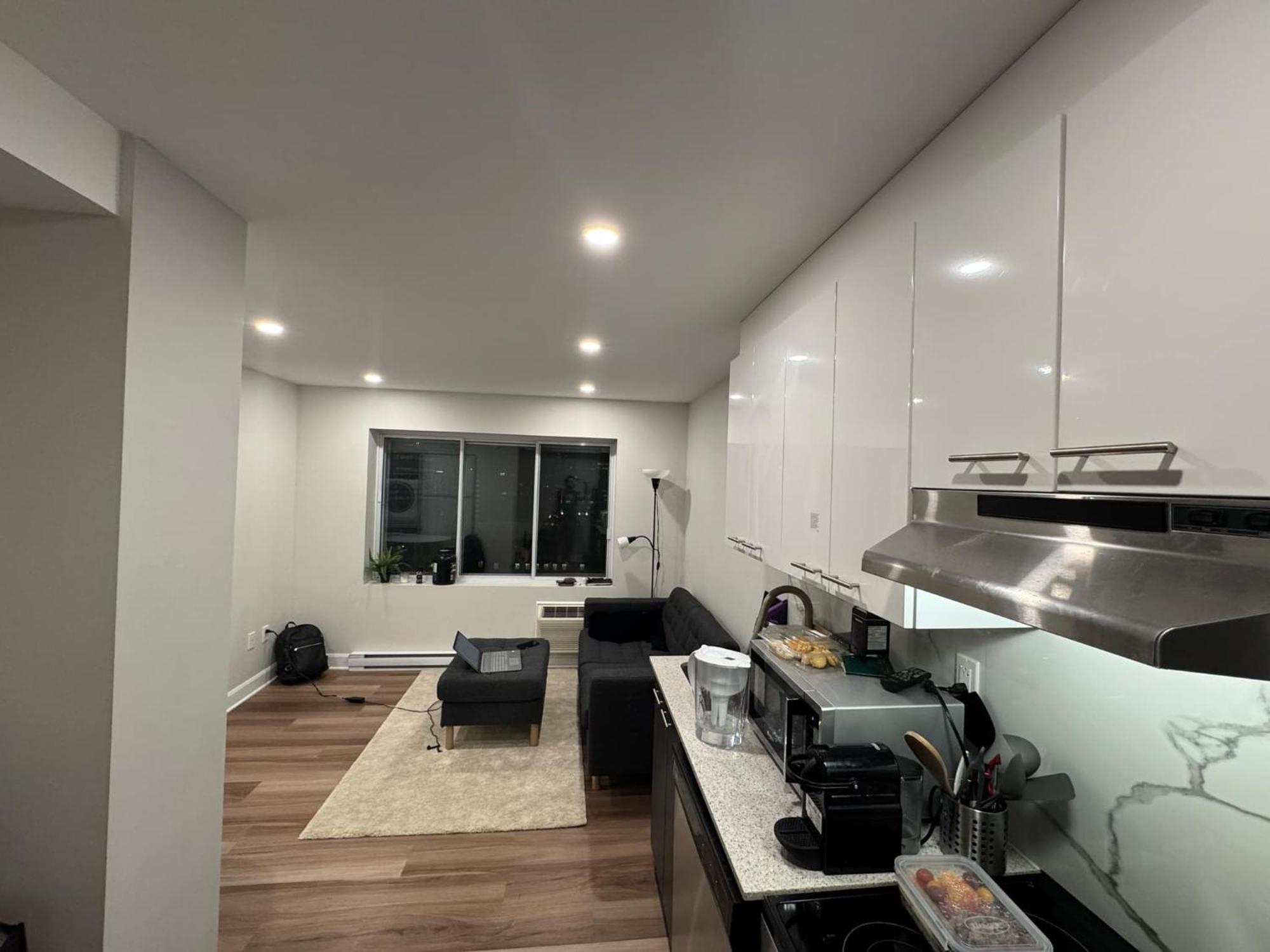 Fancy 1 Bedroom Montreal