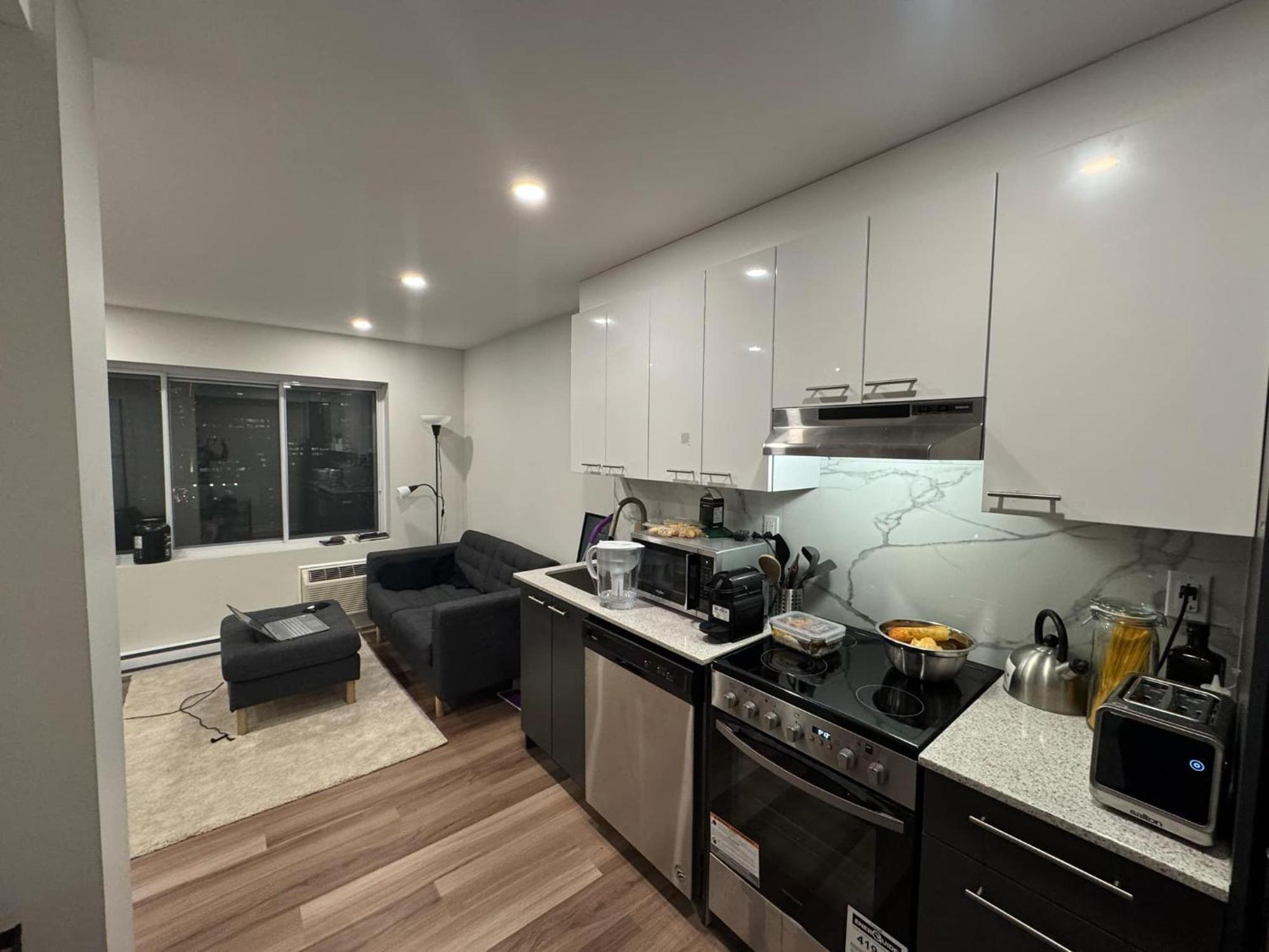 Fancy 1 Bedroom Apartment