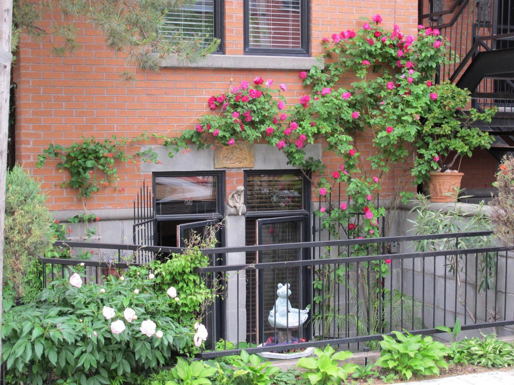 A Gem Downtown Montreal