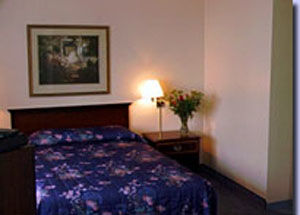Comfort Downtown Hotel 3*