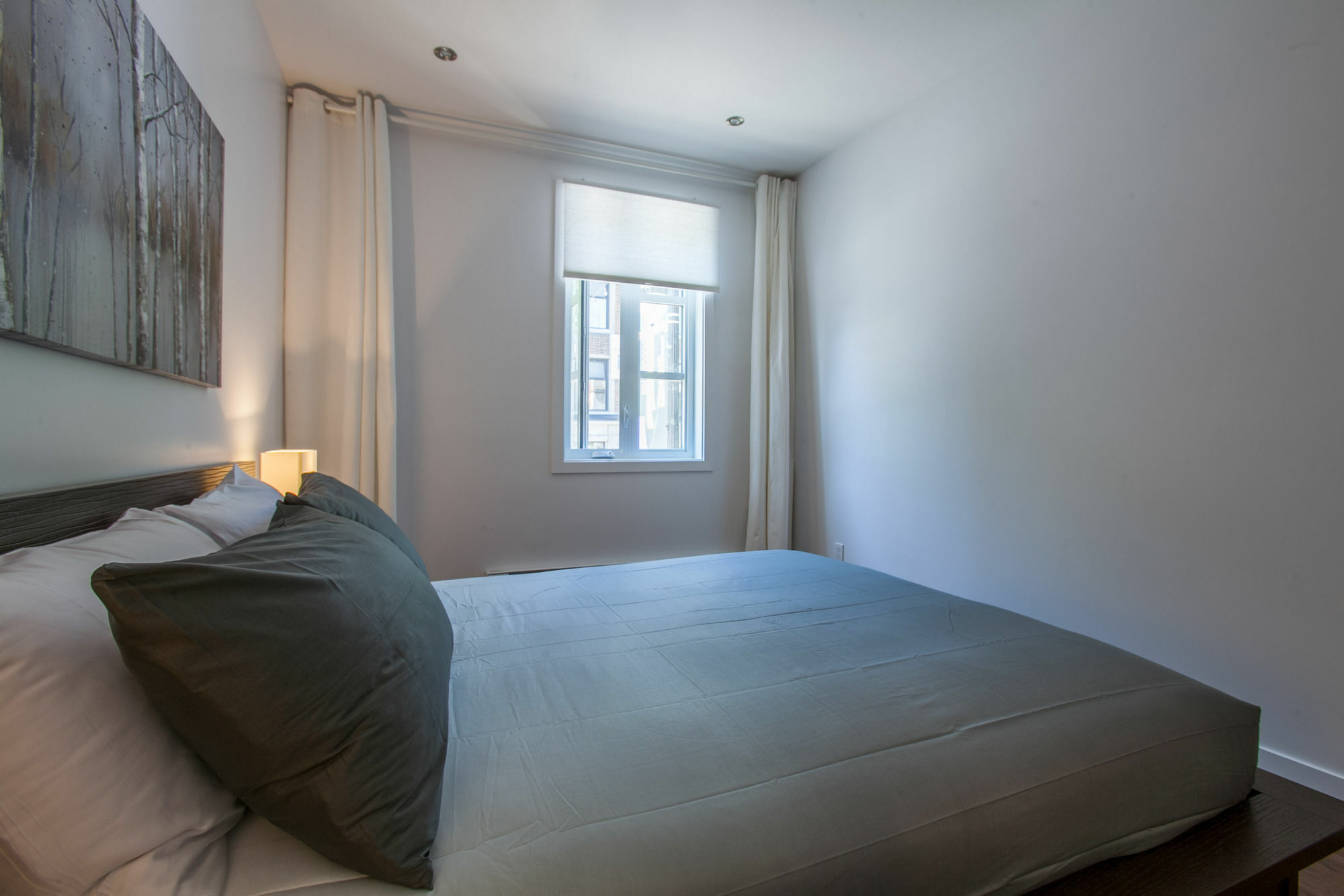 Lmvr - Le Saint-laurent Apartment Montreal