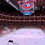 Liv Mtl Mtl