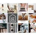 Liv Mtl Mtl