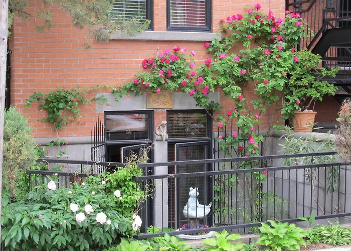 A Gem Downtown Montreal