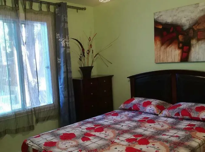 Montreal Authentic Appartment