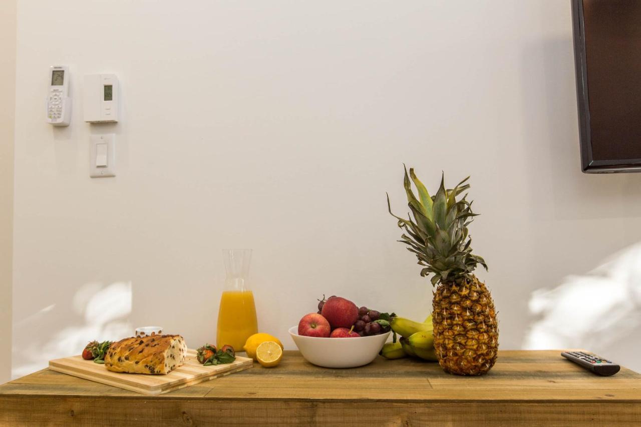 Apartment Lofts Du Parc Lahaie Montreal