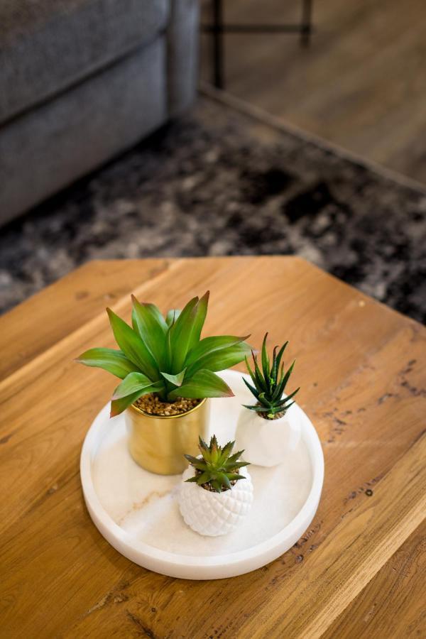 Stunning 1 Bedroom In Mile End By Den Apartment Montreal