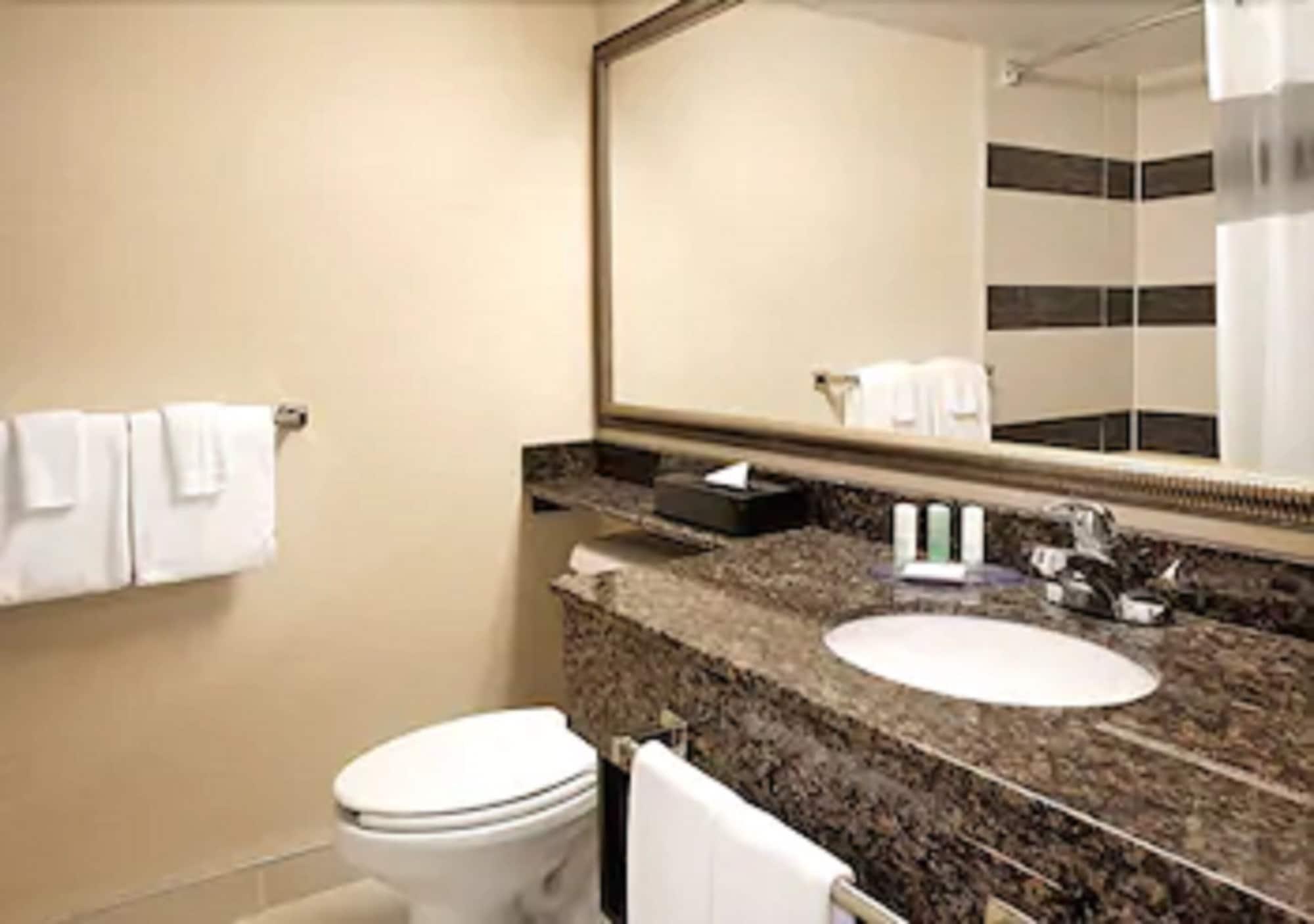 Comfort Downtown Hotel