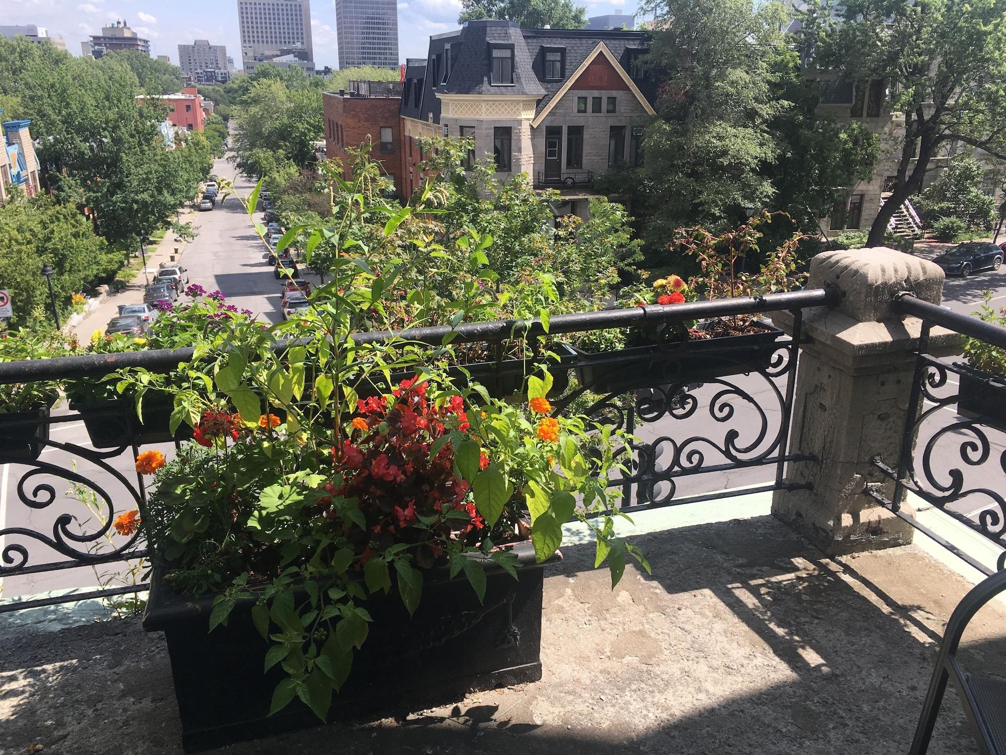 Hotel De Paris Montreal