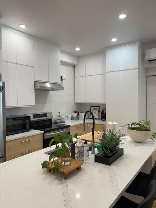 Apartment Le Saint-denis Jarry Montreal