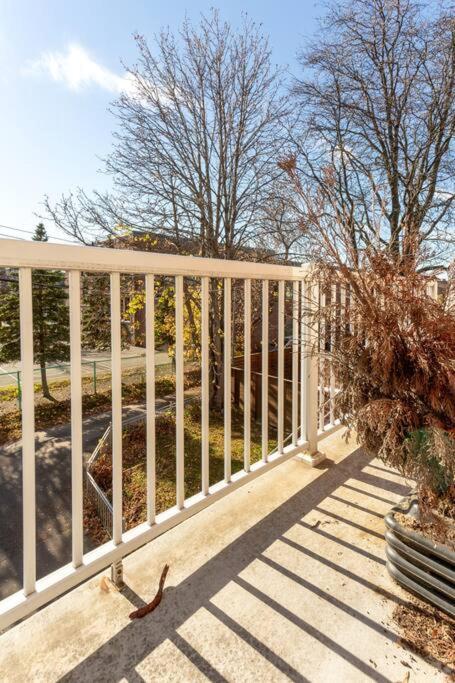 Free Parking, Beautiful 4 1/2- 2 Bedroom
