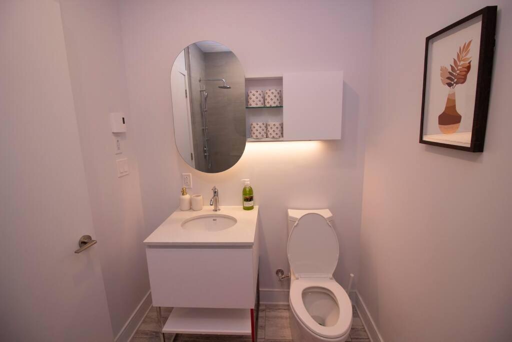Apartment Location & Modern
