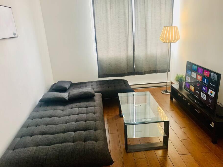 1 Bedroom In Downtown Apartment Montreal