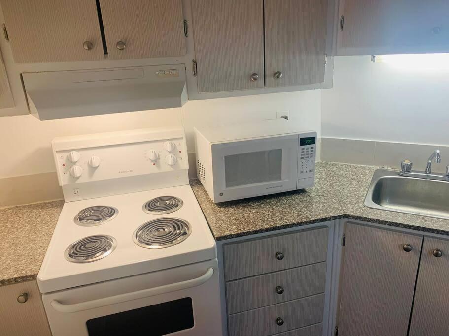 1 Bedroom In Downtown Apartment Montreal