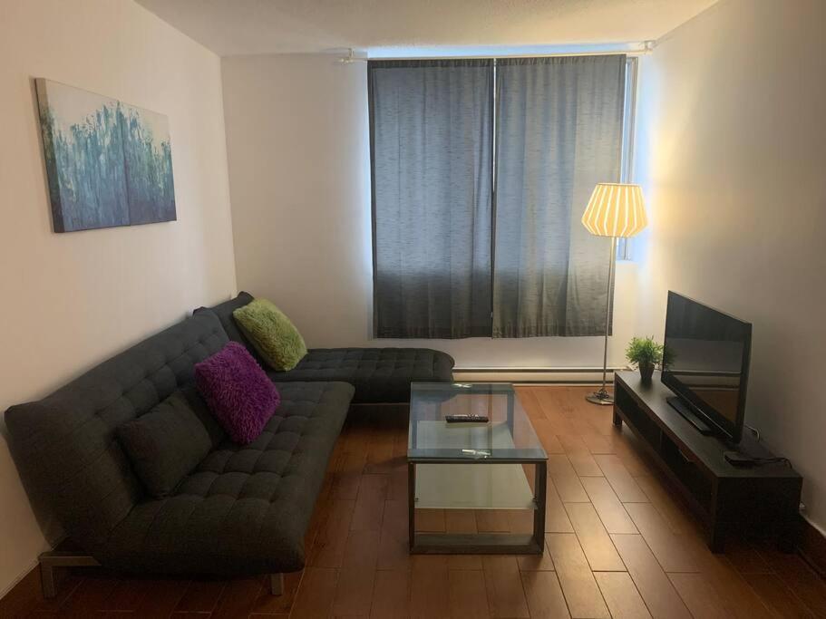 1 Bedroom In Downtown Montreal