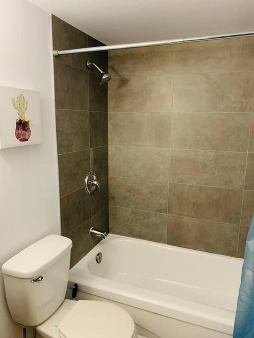 1 Bedroom In Downtown *