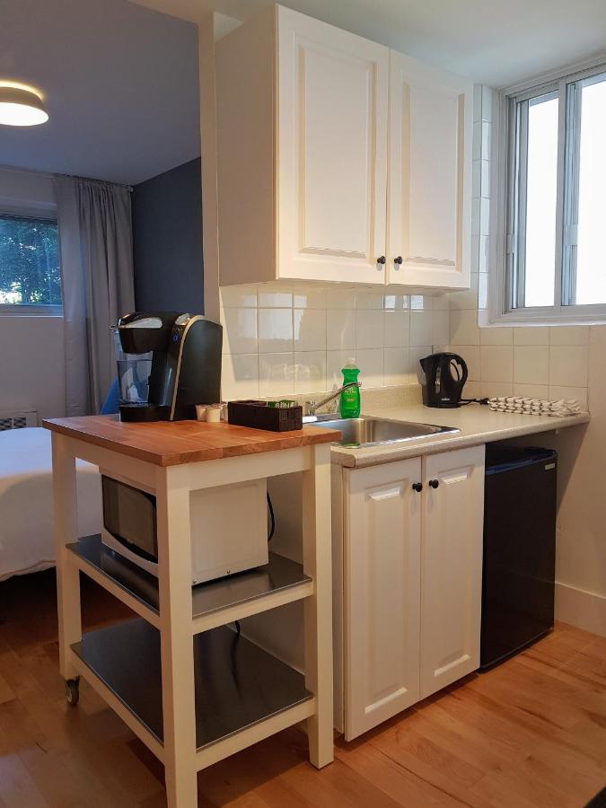 Bright And Spacious Apartment Montreal