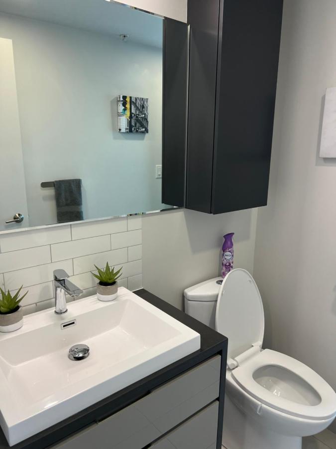 Beautiful One Bedroom Downtown With Pool And Free Parking *