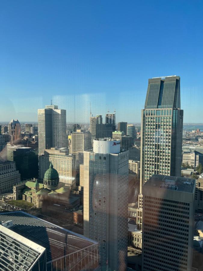 Beautiful One Bedroom Downtown With Pool And Free Parking