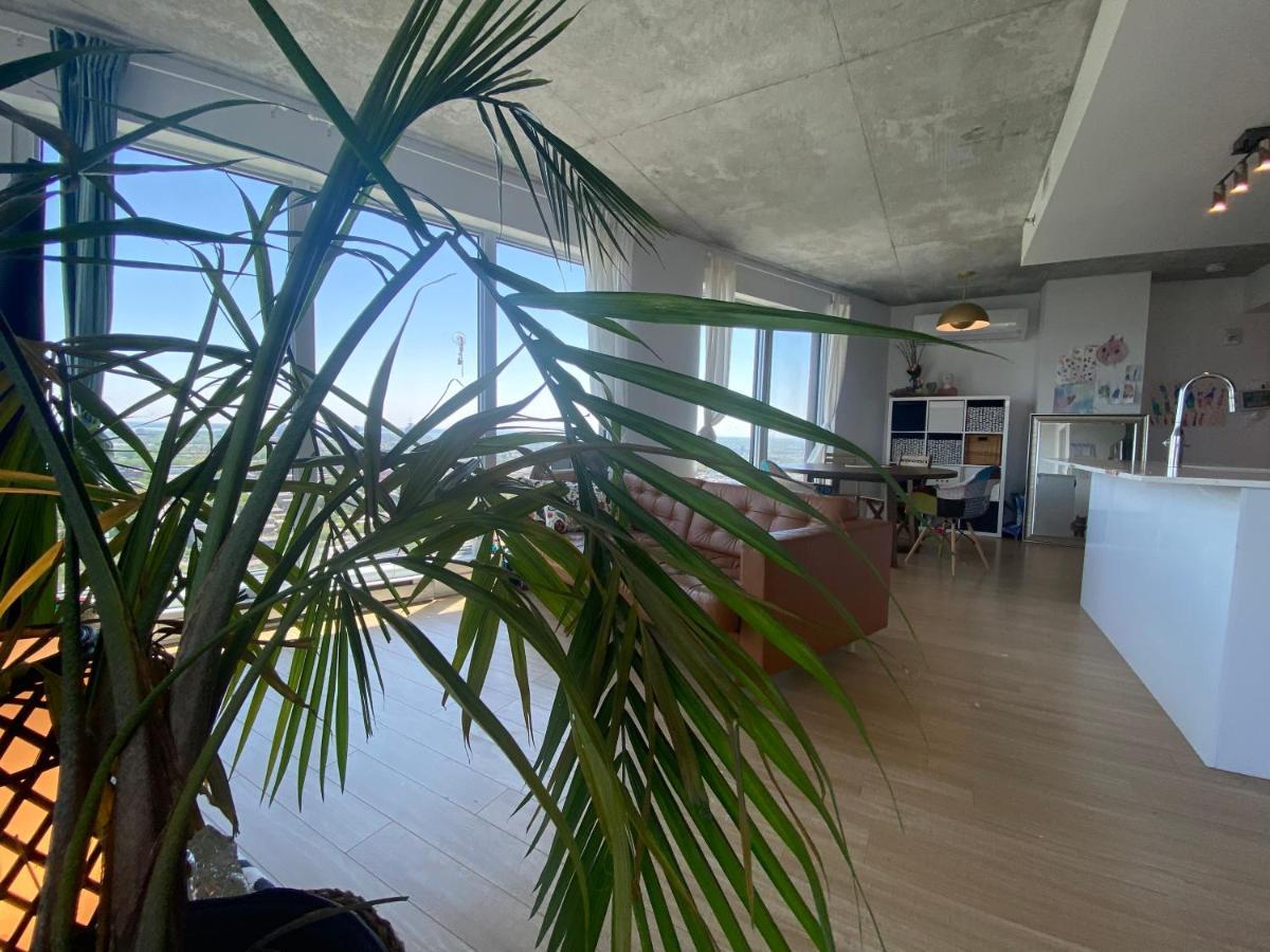 Apartment Rooftop *