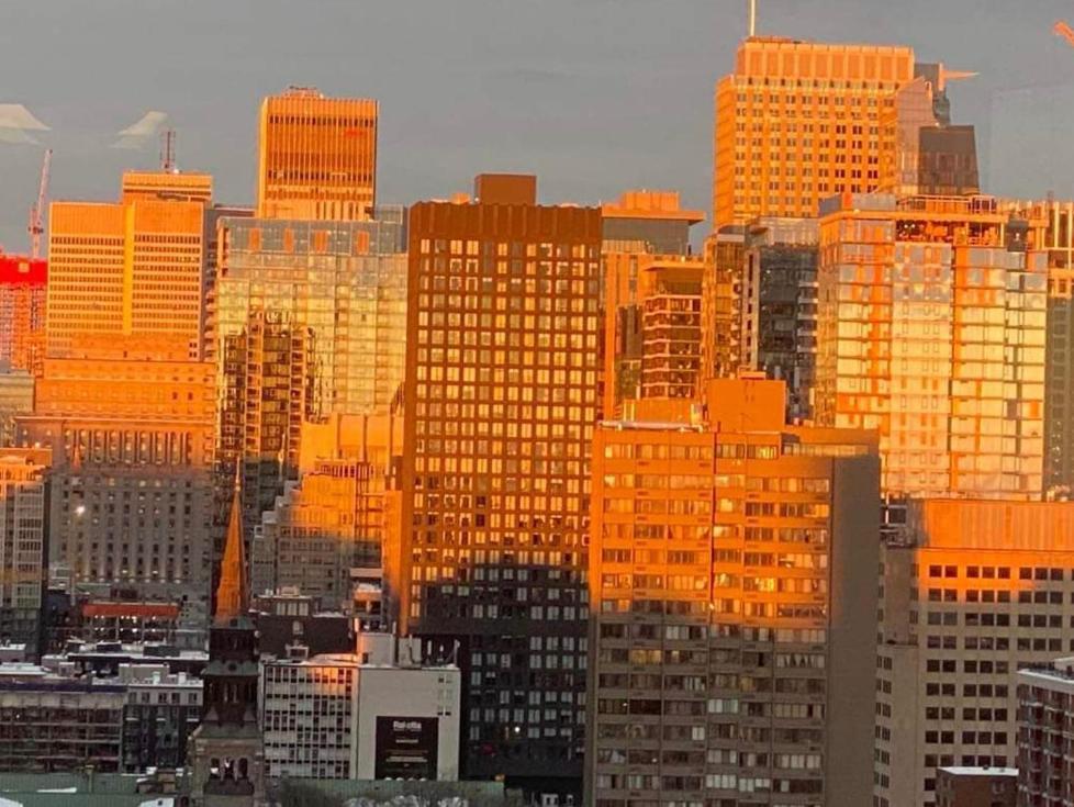 Apartment Rooftop Montreal