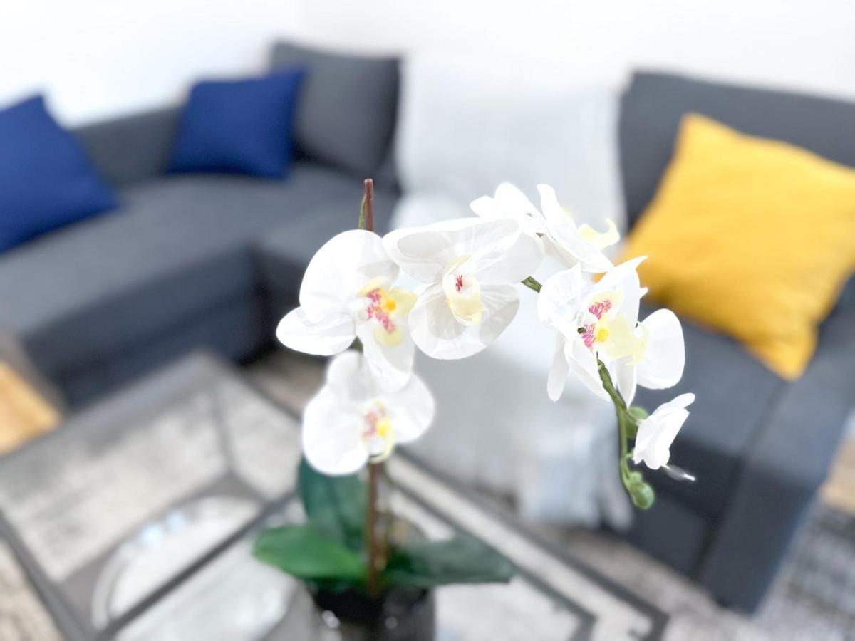 Apartment Bright & Beautiful 2 Bedr Near Botanical Garden