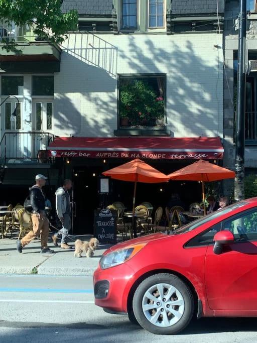 Cozy In Downtown With Prime Montreal