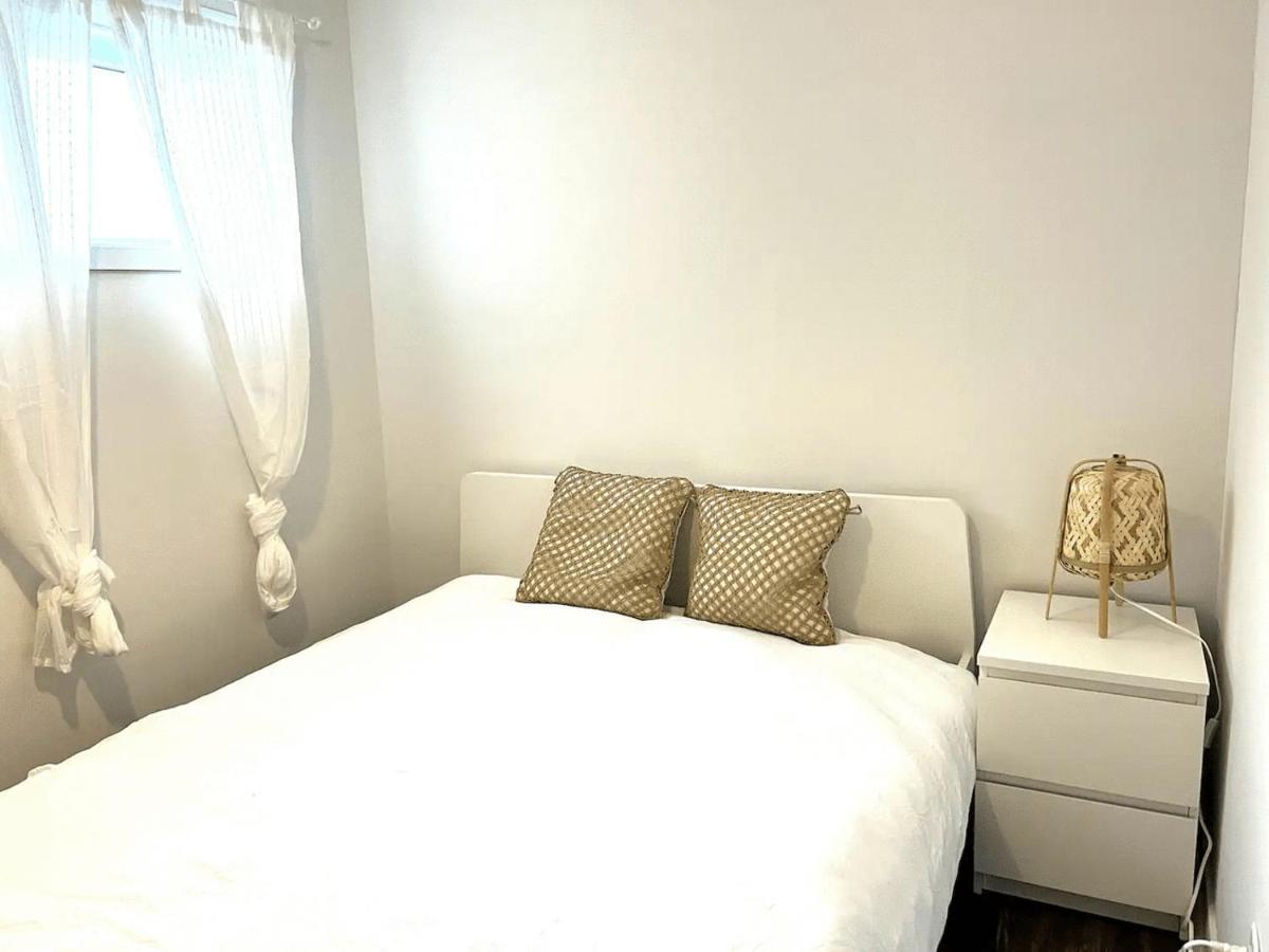 Apartment Spacious One In Two Floors Apartment-102