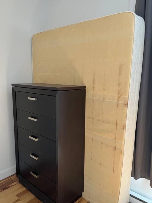 3,5 Style Contemporain Pres De Tous Les Services Et Transport En Commun Apartment Montreal