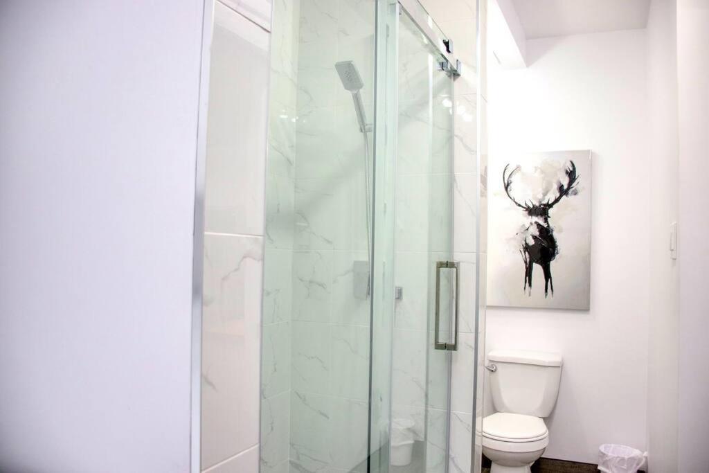 3,5 Style Contemporain Pres De Tous Les Services Et Transport En Commun * Montreal