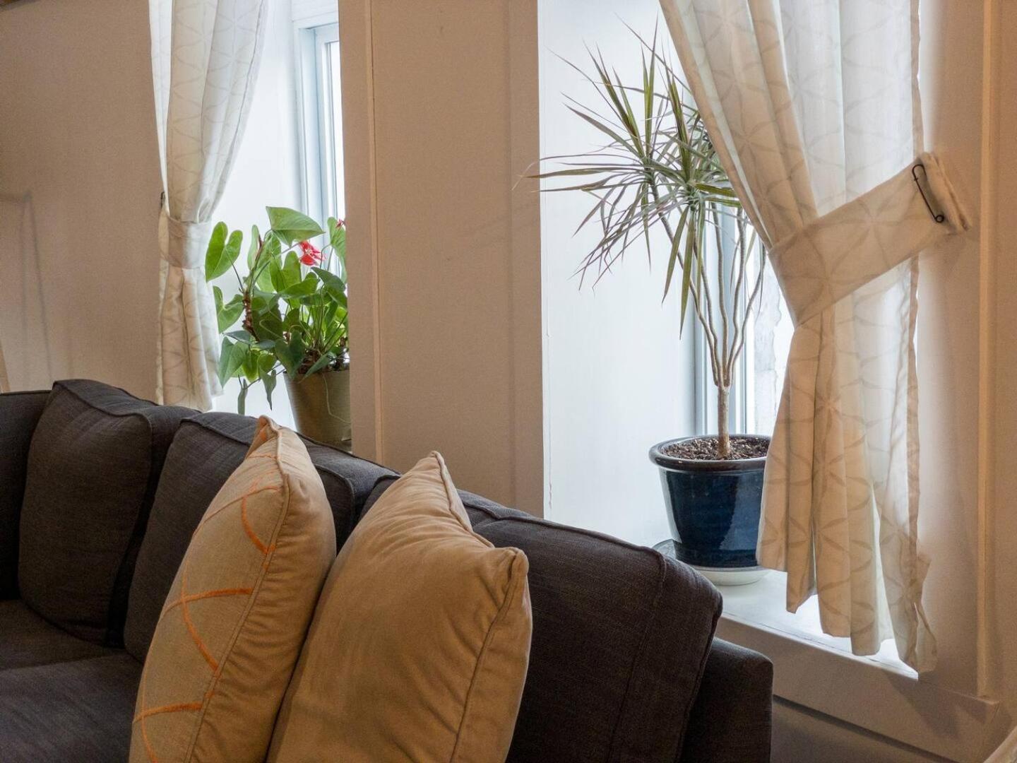 Perfect For Groups Big Livingroom 2 Backyard 3br Montreal