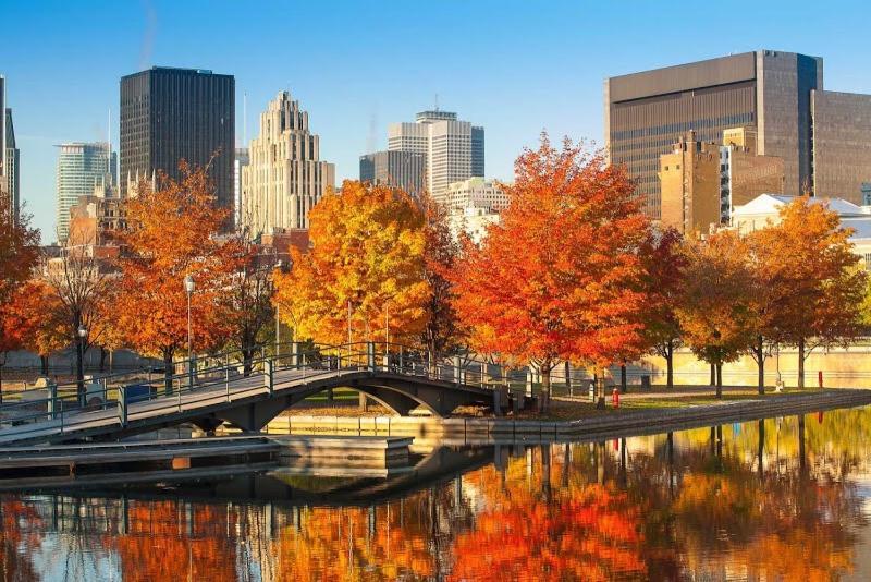 A Gem Downtown Montreal