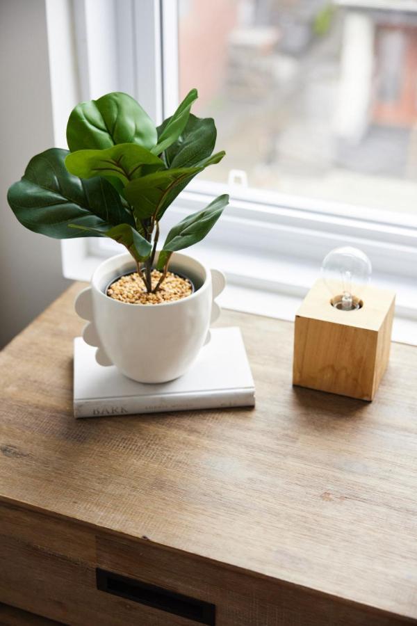 New And Cozy 3 Bedroom In Le Plateau By Denstays Montreal