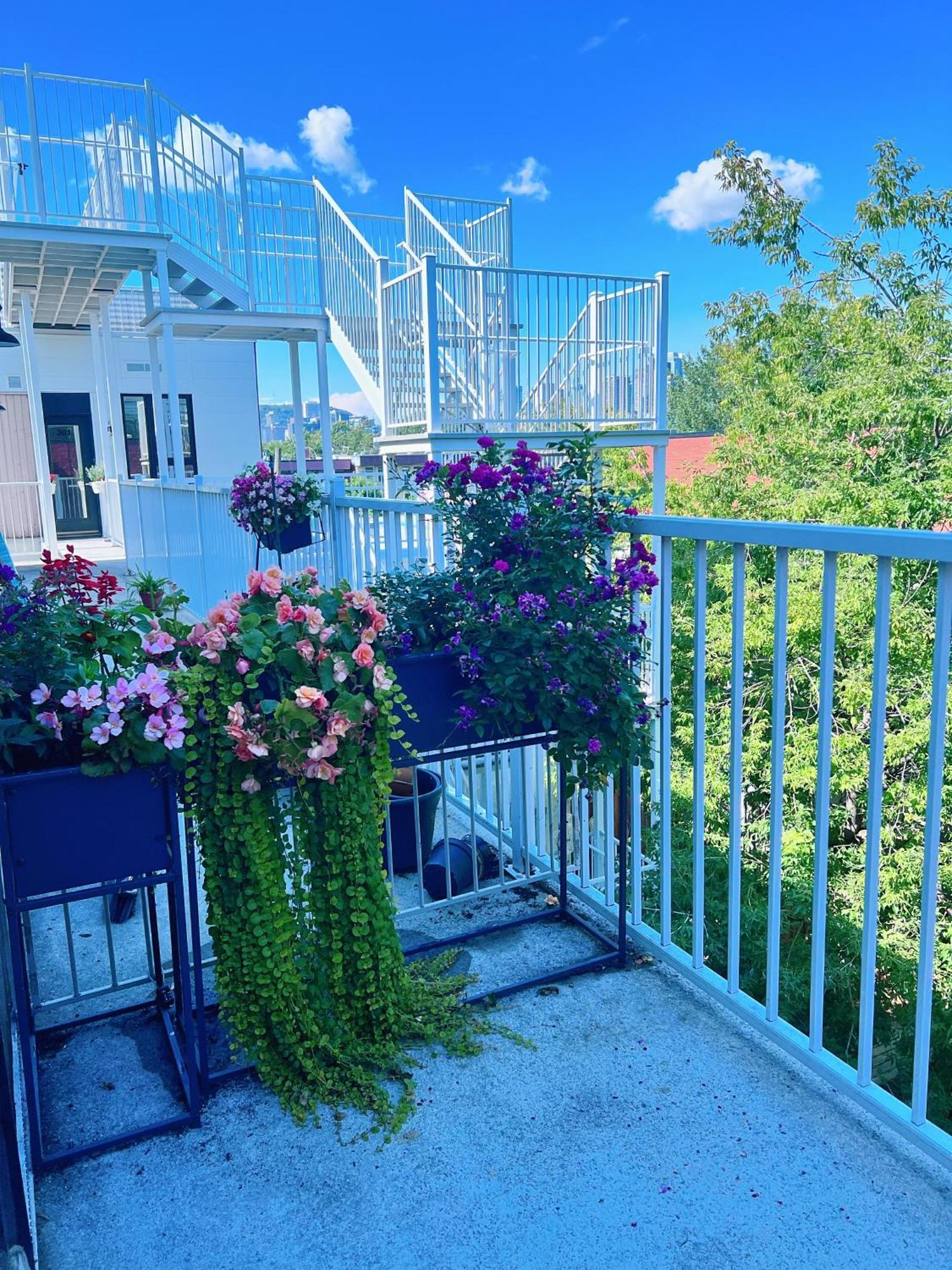 Apartment 1 Min To Metro, New Condo, Lovely Cozy Studio *