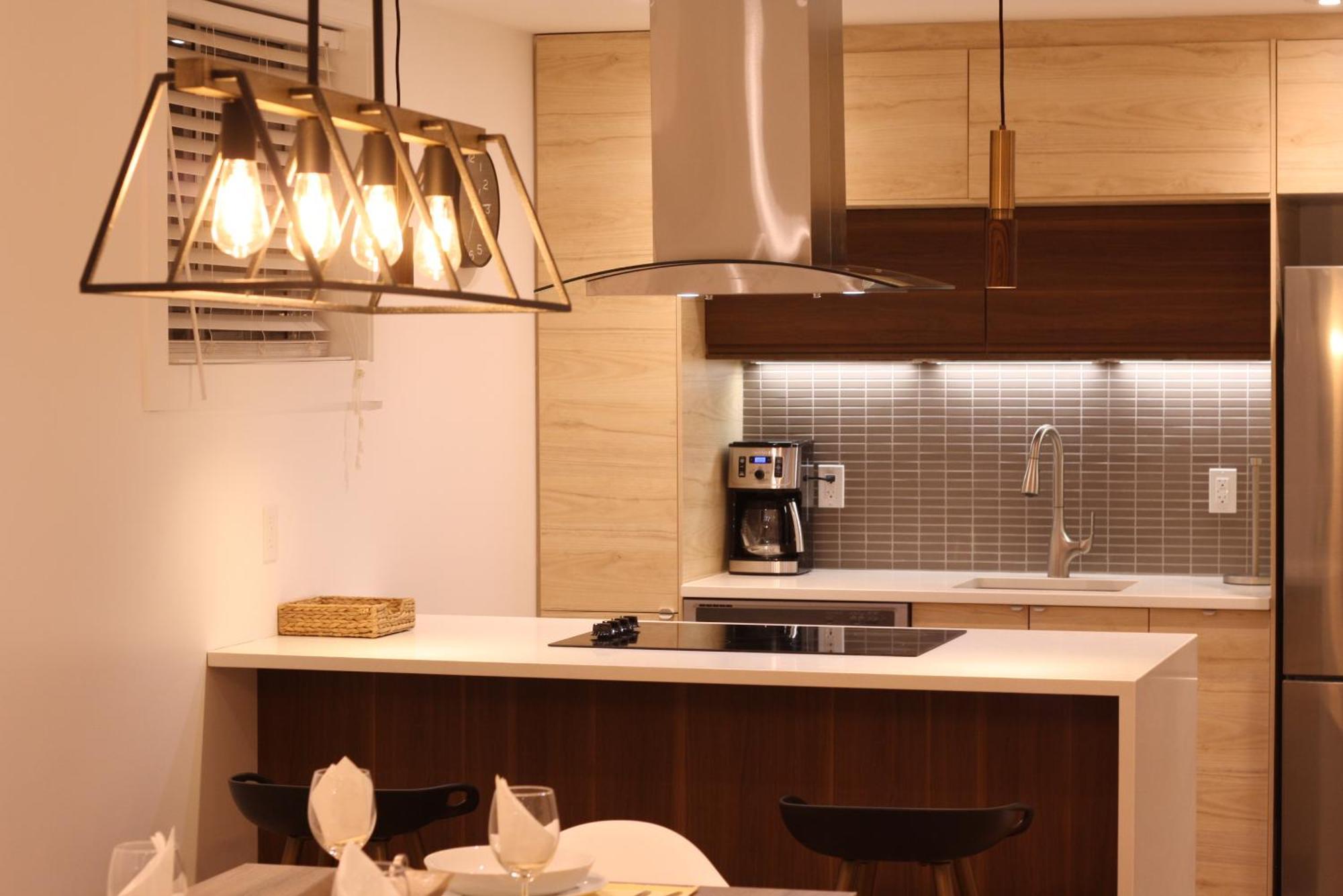 Apartment Luxueux - Deco Moderne, Rosemont Montreal