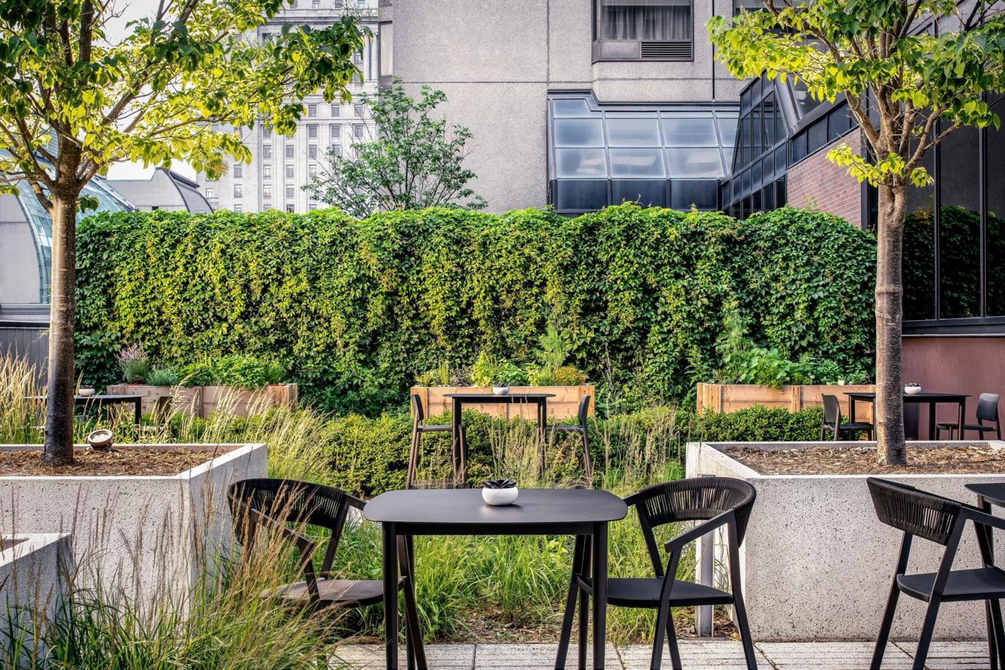 Hotel Le Centre Sheraton Montreal
