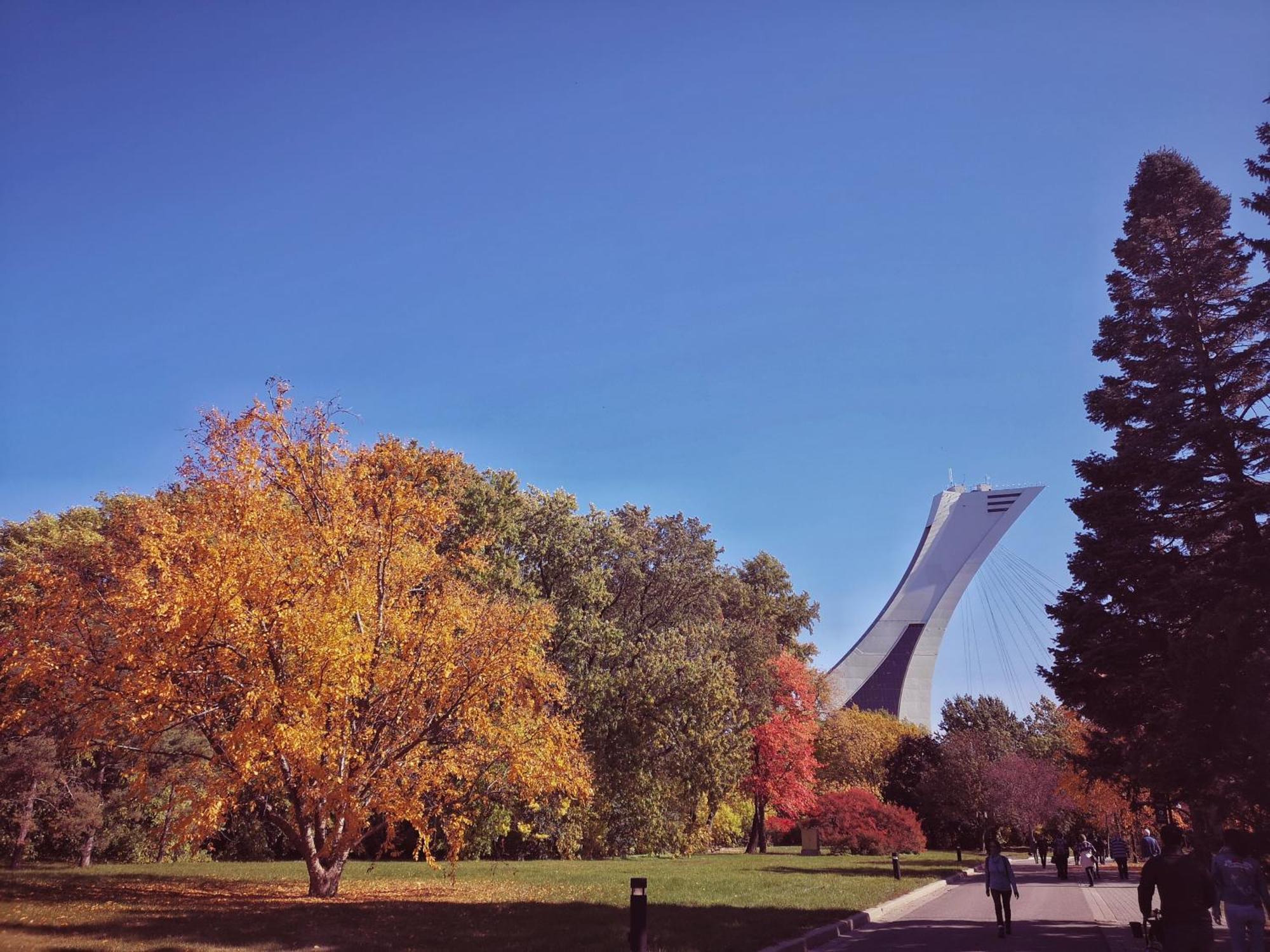 Homa By Olympic Stadium Auberge-hostel Guest house Montreal